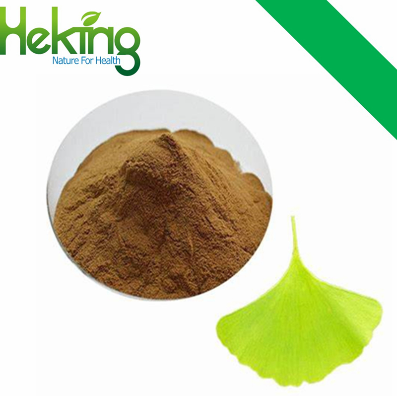 Ginkgol Biloba Leaf Extract Powder 24/6