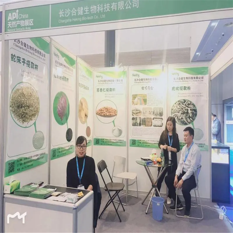 Ginkgol Biloba Leaf Extract Powder 24/6