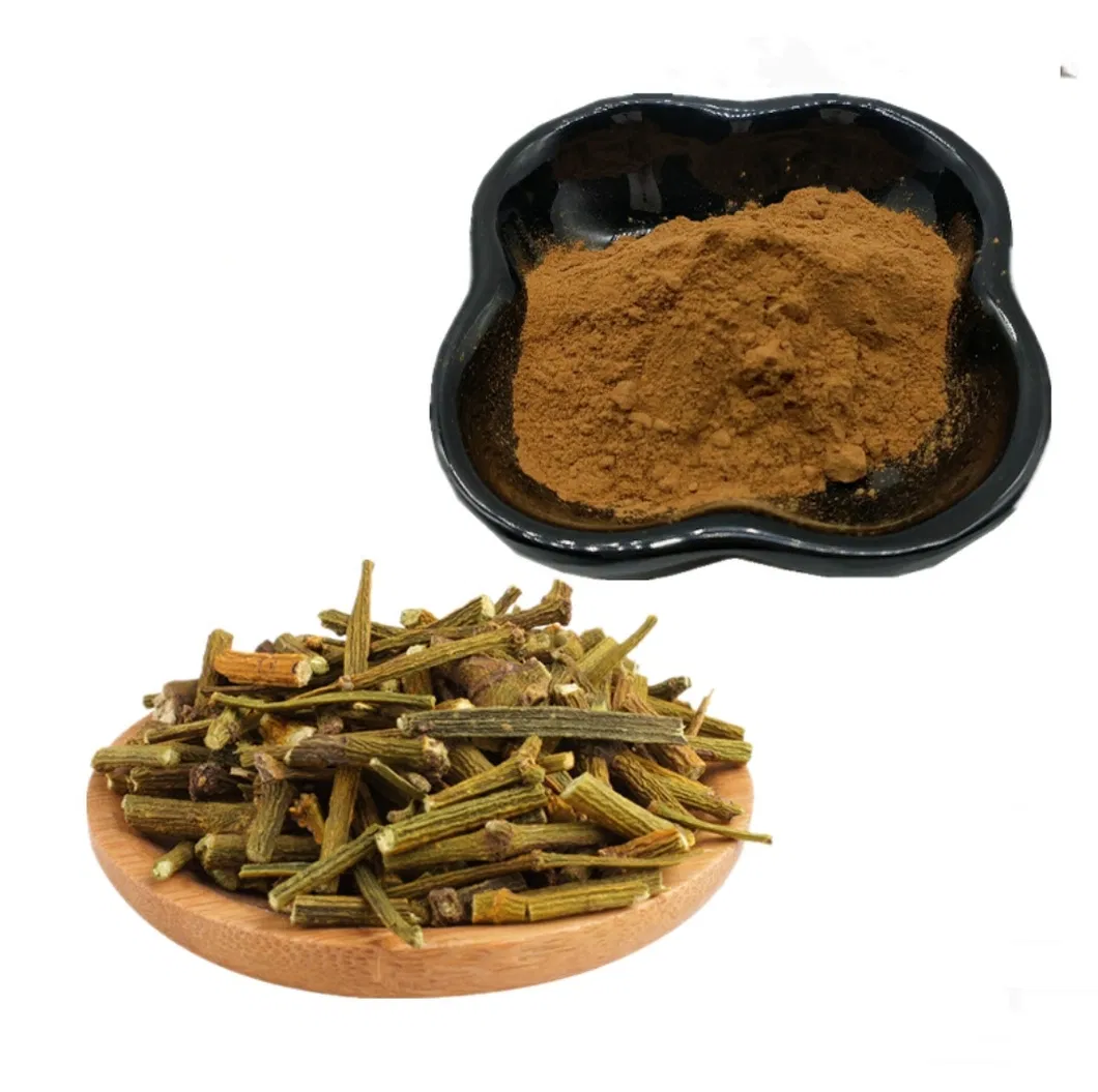 GMP 50:1 High proportion parasitic loranthus extract parasitic loranthus Glucoside