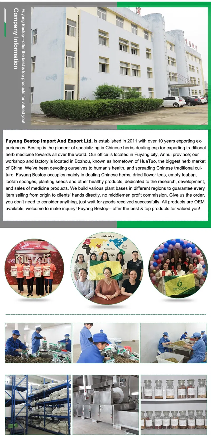 GMP 50:1 High proportion parasitic loranthus extract parasitic loranthus Glucoside