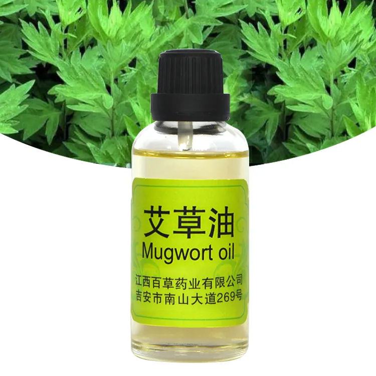 GMP Factory Supply Artemisia Annuae Oil Essential Oil Leaves