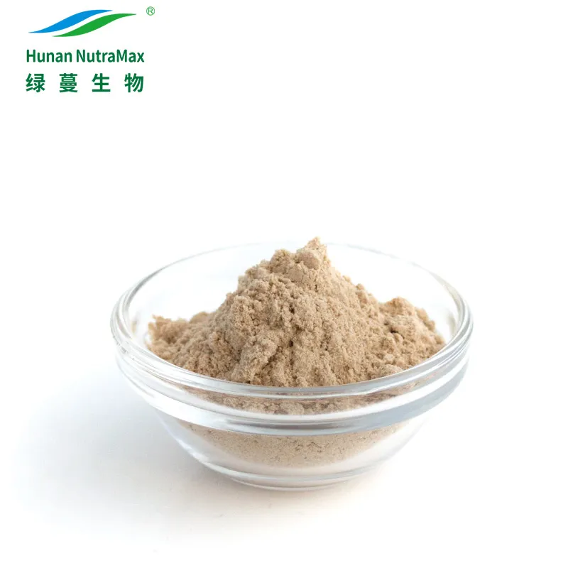 GMP Factory Supply Psyllium Husk Powder 98% for Vegan Diet