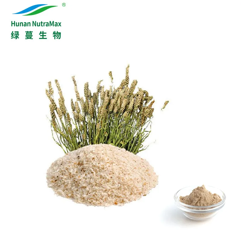 GMP Factory Supply Psyllium Husk Powder 98% for Vegan Diet