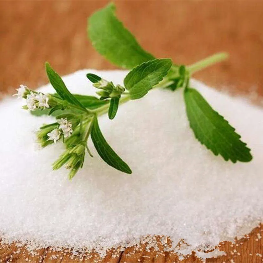 GMP High Quality Stevia Tablet