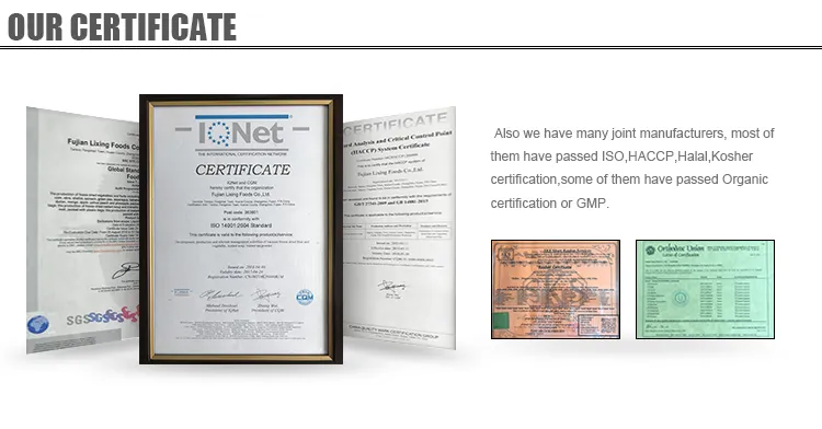 GMP High Quality Stevia Tablet