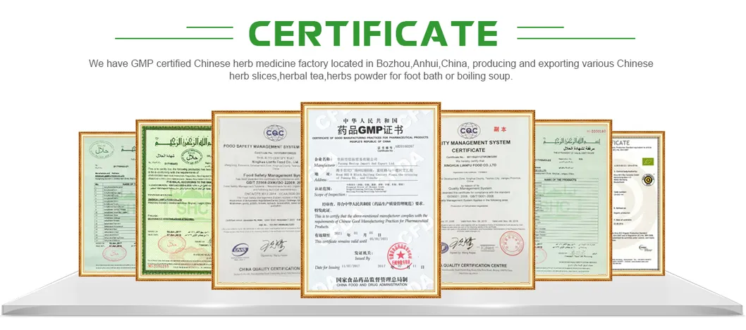 GMP sechium edule powder protein 10:1 Chayote extract water solubility