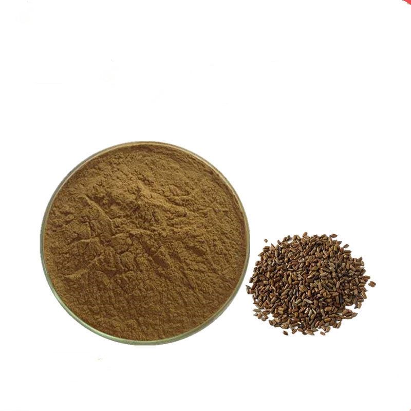 GMP Water solubility Raw material extraction 5:1 10:1 20:1 Astragalus complanatus extract