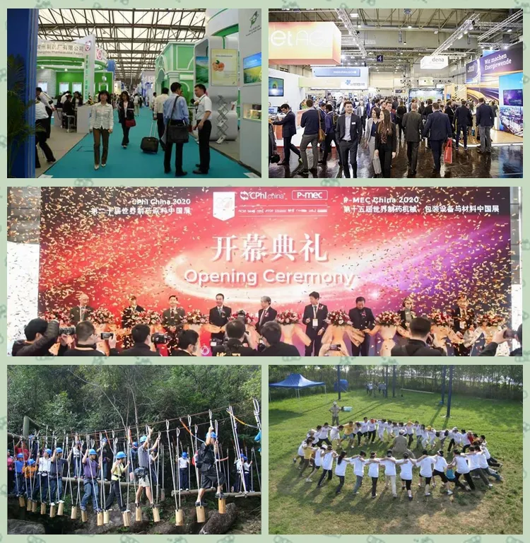 Grape Seed Extract CAS 84929-27-1 Proanthocyanidin