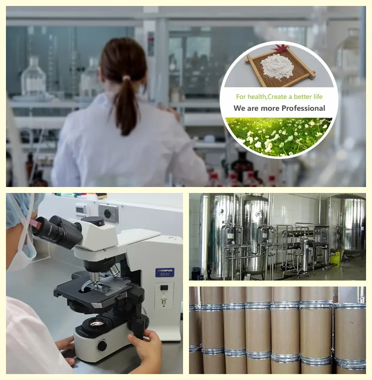 Grape Seed Extract CAS 84929-27-1 Proanthocyanidin