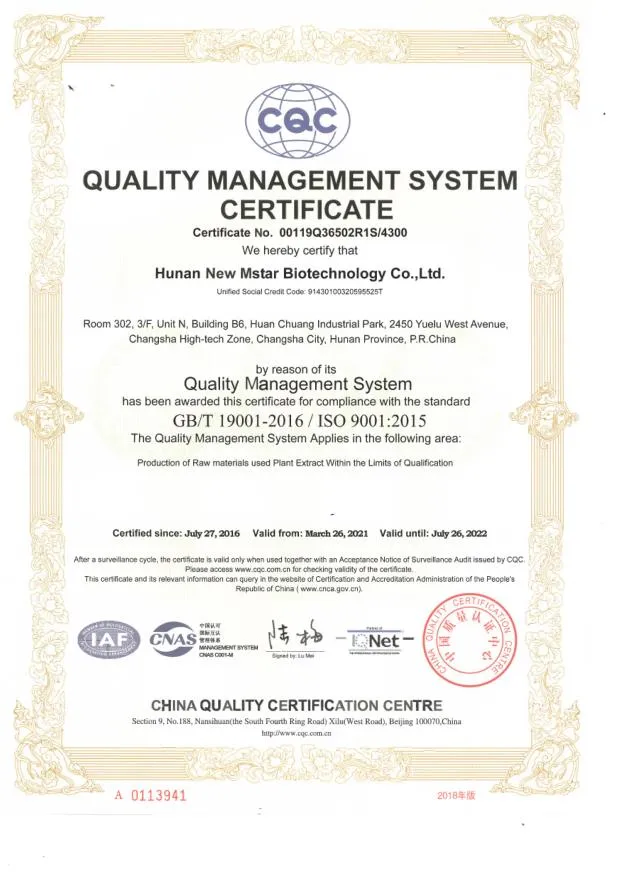 Green Tea Extract Powder, 20%, 40% L-Theanine for Weight Loss