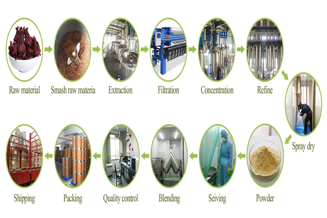 Green Tea Extract Powder, 20%, 40% L-Theanine for Weight Loss