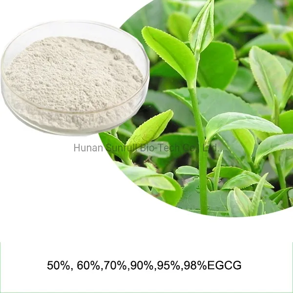 Green Tea Polyphenols EGCG Plant Extract