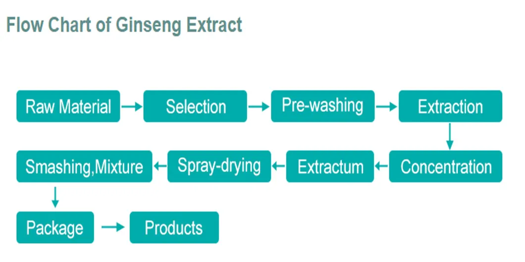 Grganic Pure Red Ginseng Extract Ginseng Extract10%-- 80% Ginsenoside Fine Panax Ginseng Extract Powder OEM