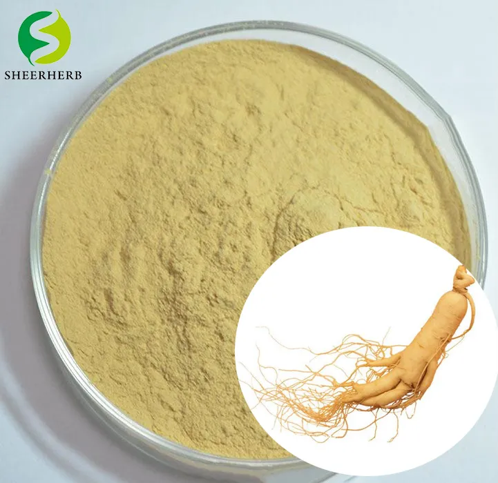 Grganic Pure Red Ginseng Extract Ginseng Extract10%-- 80% Ginsenoside Fine Panax Ginseng Extract Powder OEM
