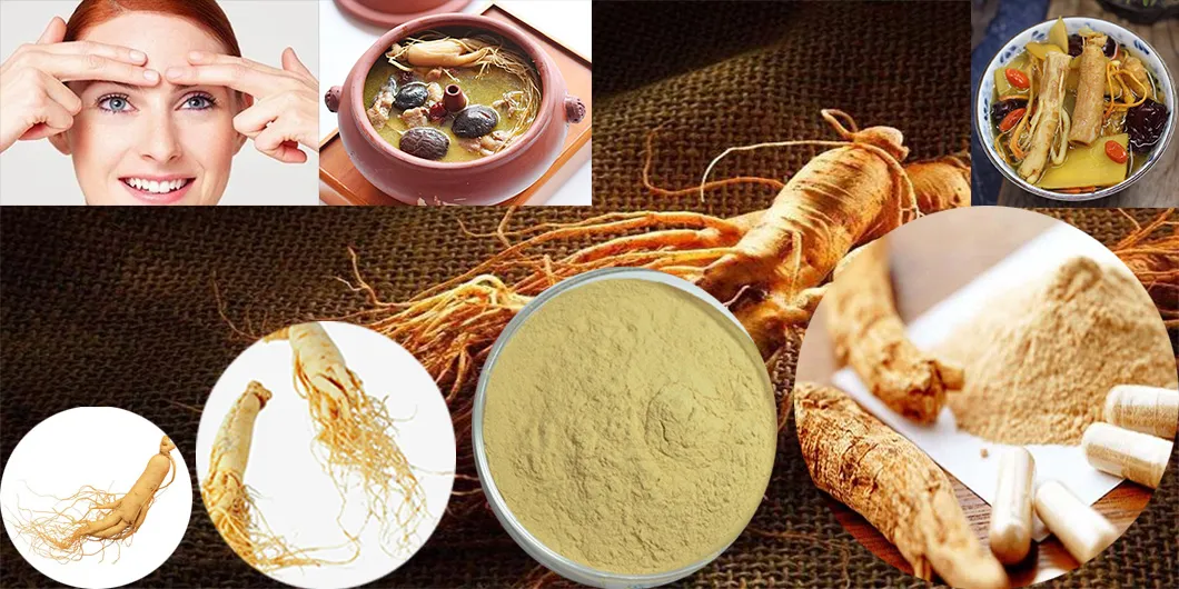 Grganic Pure Red Ginseng Extract Ginseng Extract10%-- 80% Ginsenoside Fine Panax Ginseng Extract Powder OEM