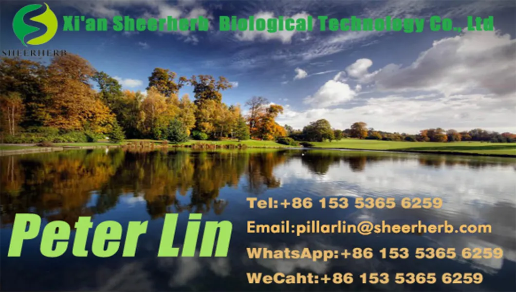 Grganic Pure Red Ginseng Extract Ginseng Extract10%-- 80% Ginsenoside Fine Panax Ginseng Extract Powder OEM