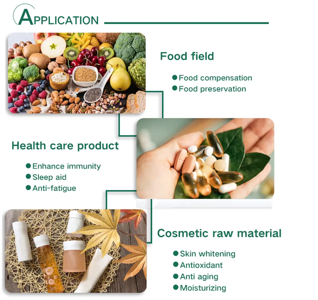 Grganic Pure Red Ginseng Extract Ginseng Extract10%-- 80% Ginsenoside Fine Panax Ginseng Extract Powder OEM