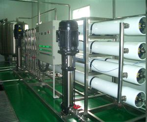 Gynostemma Extract to Reduce Oxygen Free Radicals Used in Food