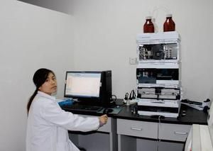 Gynostemma Extract to Reduce Oxygen Free Radicals Used in Food