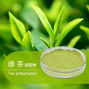 Halal 20-99% Tea Polyphenol EGCG Green Tea Extract Powder