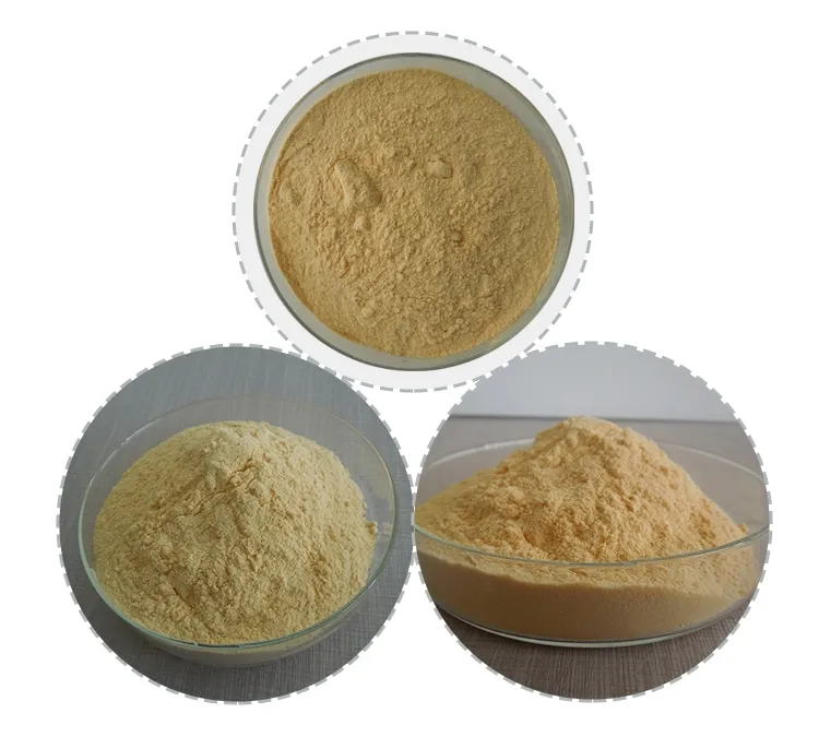 Health Care Lecithin Soya Soy Lecithin Powder