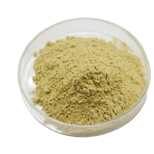 Health Supplement Powdered Soybean Lecithin CAS 8052-43-5