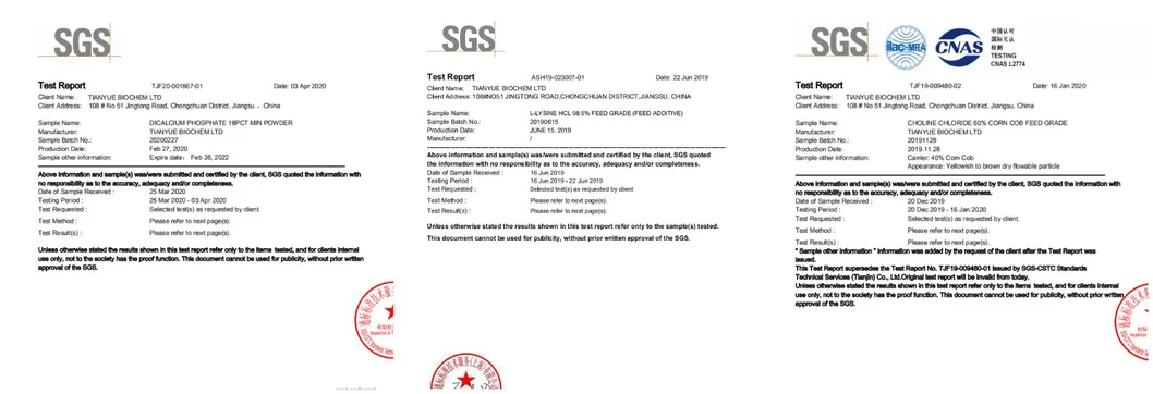 Healthcare Materials Vb6 Pyridoxine Hydrochloride Vitamin B6