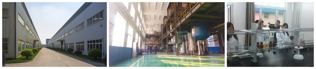 Healthcare Materials Vb6 Pyridoxine Hydrochloride Vitamin B6