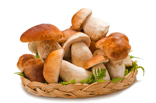 Healthy Natural Best Price Polysaccharides 10%~50% Boletus Edulis Extract Porcini Mushrooms Extract