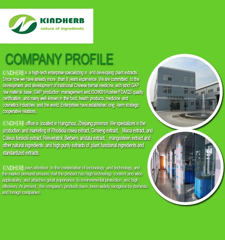 Healthy Natural Best Price Polysaccharides 10%~50% Boletus Edulis Extract Porcini Mushrooms Extract