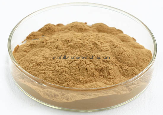 Hederacoside C 3% IVY Extract CAS 14216 -03-6