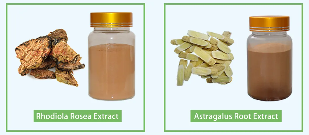 Herb Extract Panax Notoginseng Root/Leaf Extract Total Ginsenoside & Notoginsenosides HPLC Plant Extract
