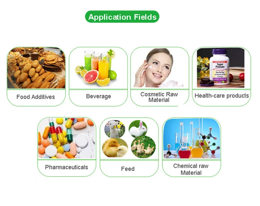 Herbal Extract for Livestock Cornel/Dogwood /Cornus Officinalis Fruit Extract