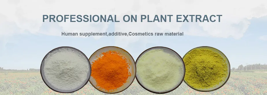 Herbal Extract for Livestock Natural Safflower Extract Hot Selling Plant Extract