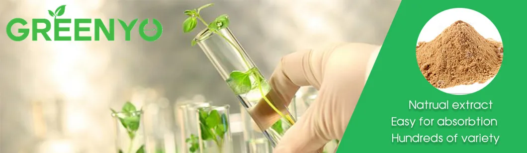 Herbal Extract Icariin 10% 60% 98% Epimedium Extract