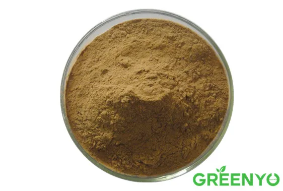Herbal Extract Powder Astragaloside 98% Astragalus Extract