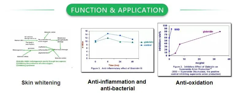 Herbal Plant Licorice Root Extract Water Soluble 10% Glabridin White Powder (CAS 59870-68-7)