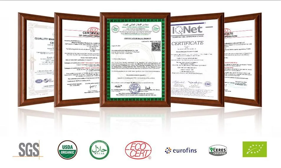 High Protein Natual Spirulina Tablets Bulk Organic Spirulina Tablet