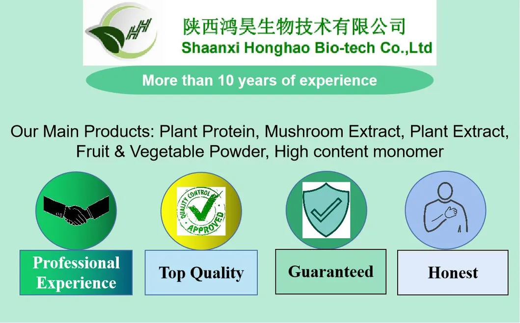 High Protein Natual Spirulina Tablets Bulk Organic Spirulina Tablet