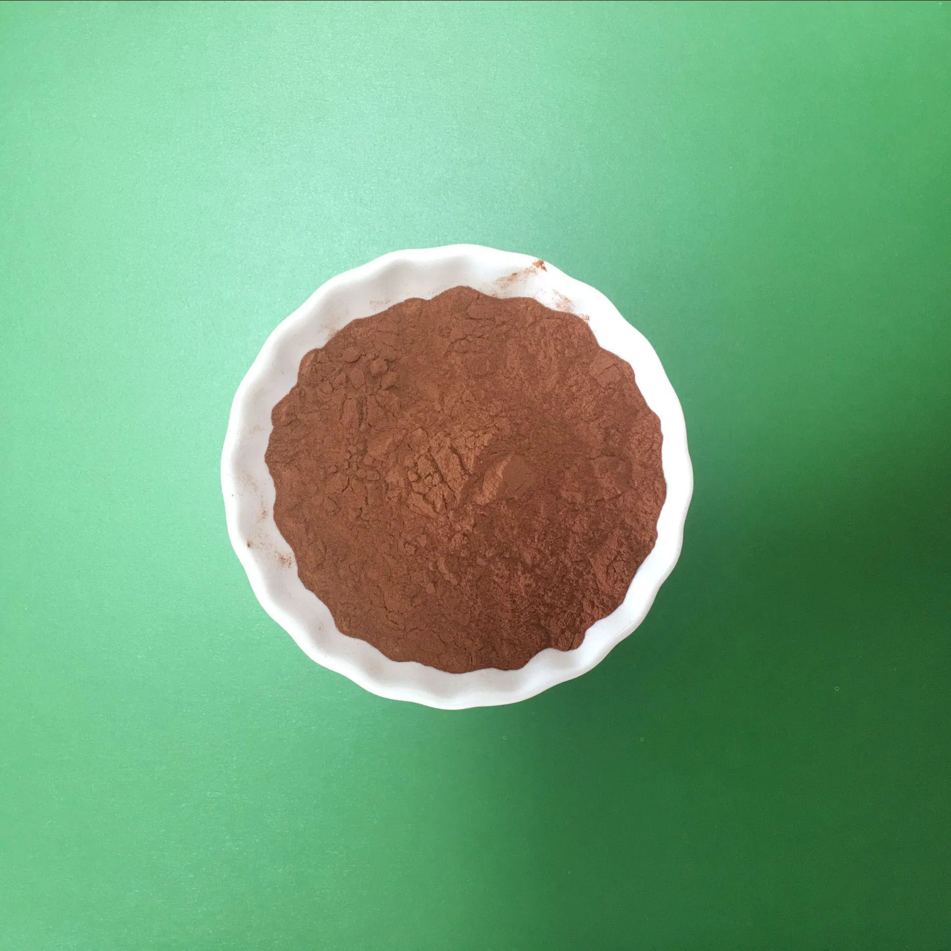 High Quality 95% OPC Grape Seed Extract Powder