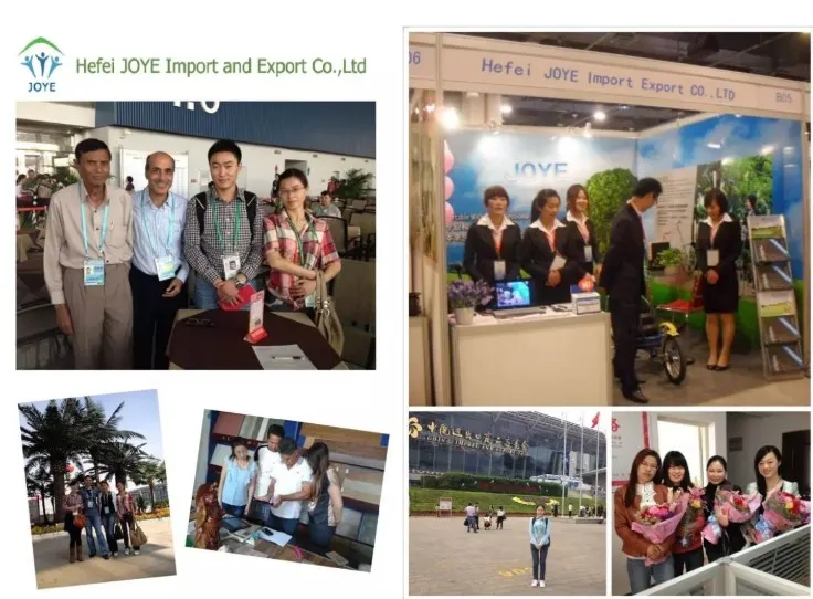 High Quality Best Price Garlic Extract Garlicin 1% Powder Allicin 1%