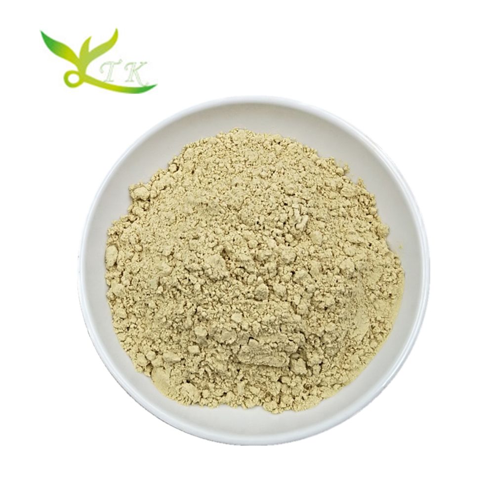 High Quality Celery Seed Extract Powder Apigenin 98%