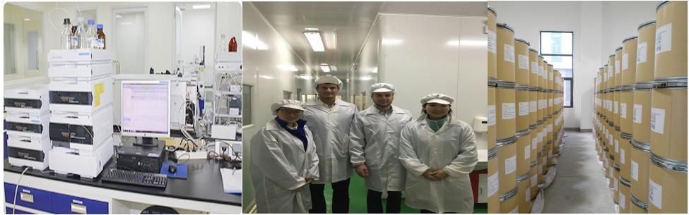 High Quality Celery Seed Extract Powder Apigenin 98%