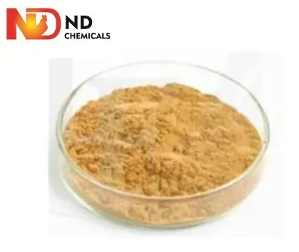 High Quality China Factory Price Enzyme Xylanase