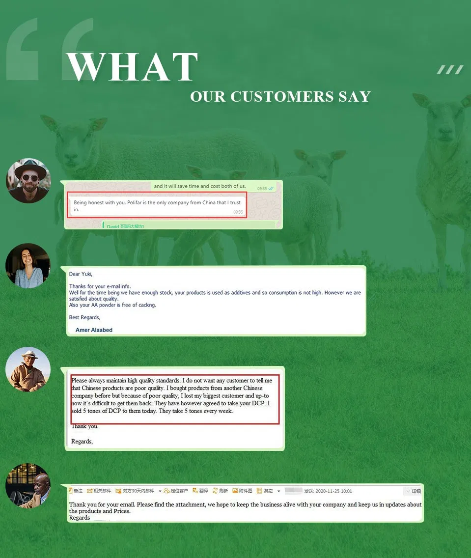 High Quality Dicalcium Phosphate/DCP Powder/Granular Feed Additive