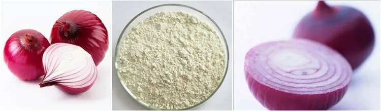 High Quality Factory Supply White Dehydrated Onion Powder Prices