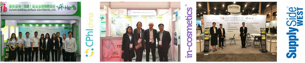 High Quality Freeze Dried Strawberry Powder for Food