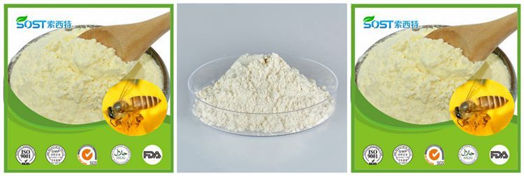 High Quality Lyophilized Royal Jelly Freeze Dried Powder 10-HDA 6%