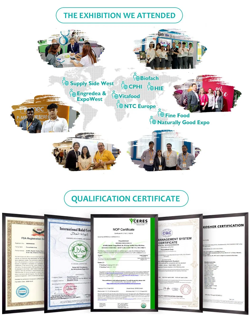 High Quality Plant Extract 10: 1 Poria Cocos Extract