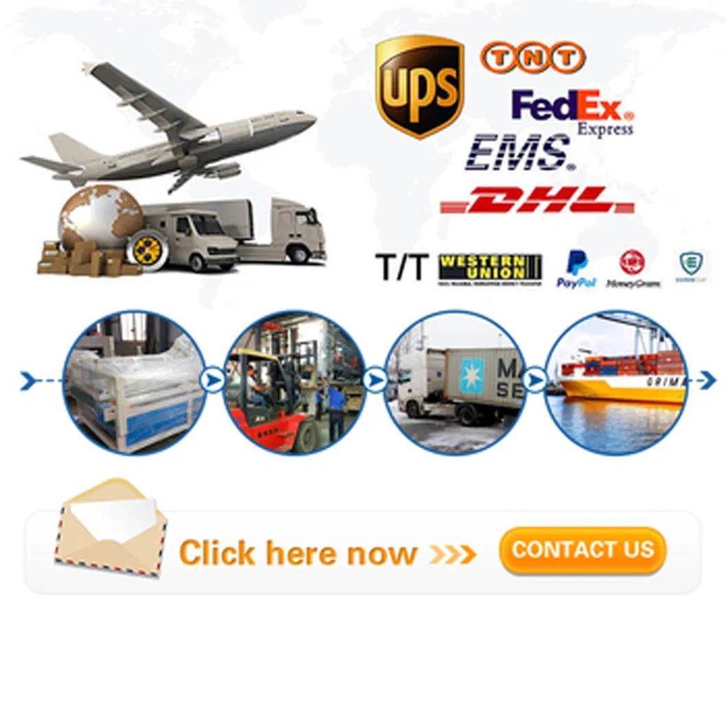 High-Quality Plantago Seed Extract to Clear Liver and Improve Eyesight